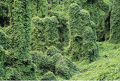 《星露谷物语》1.6版本新游戏截图 上线时间待定